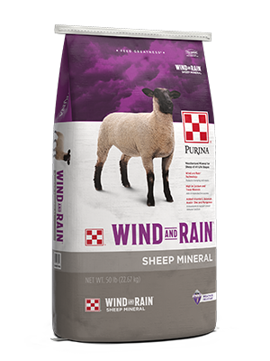 Wind & Rain Sheep Mineral