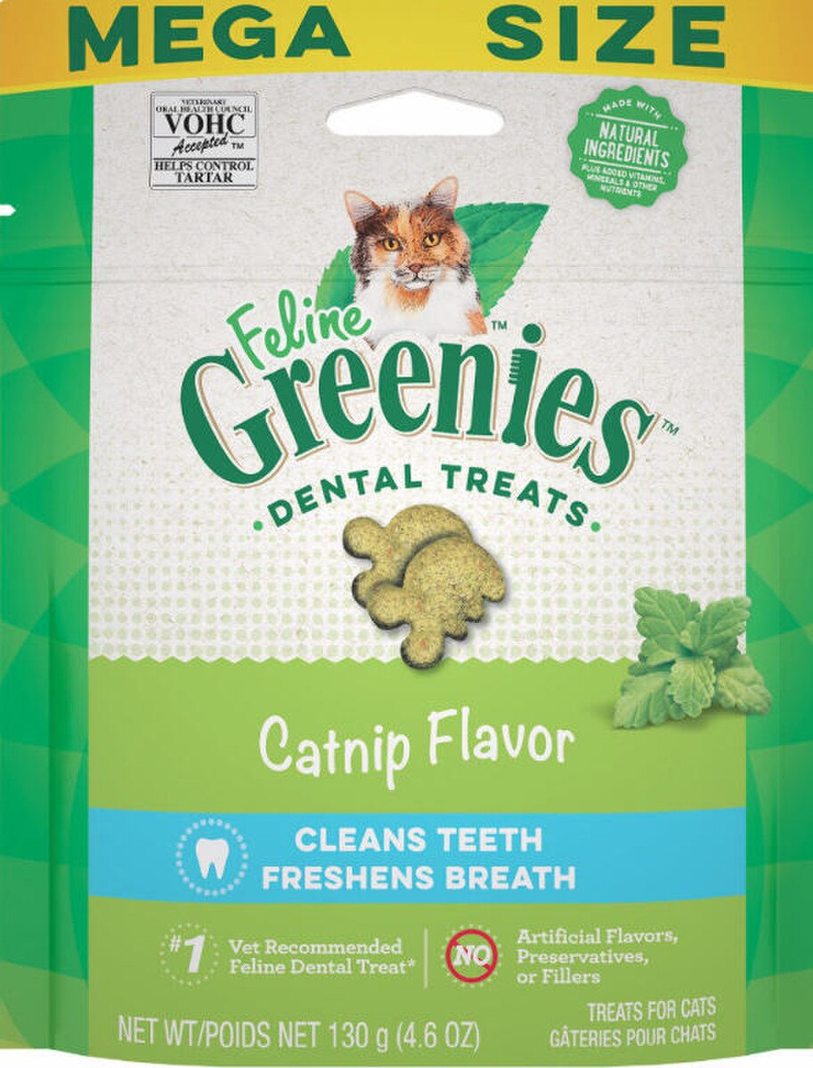 Feline Dental Catnip