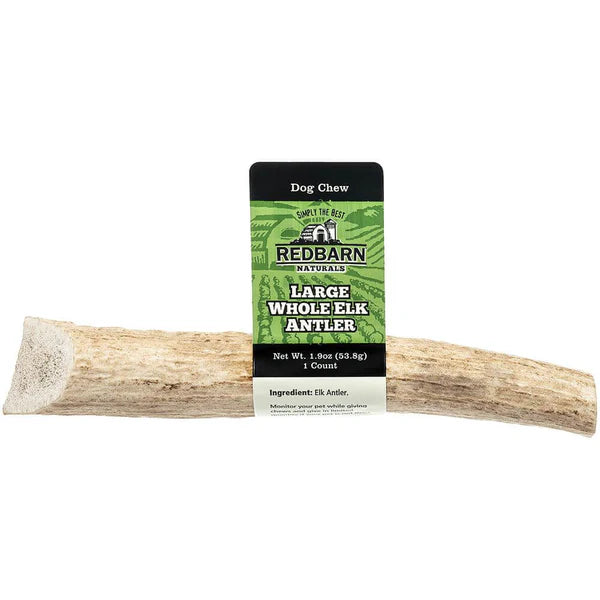Large Elk Antler