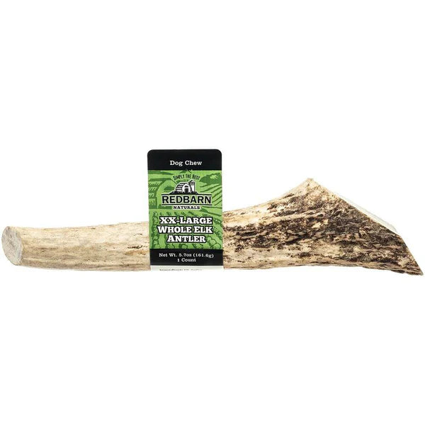 XXL Elk Antler