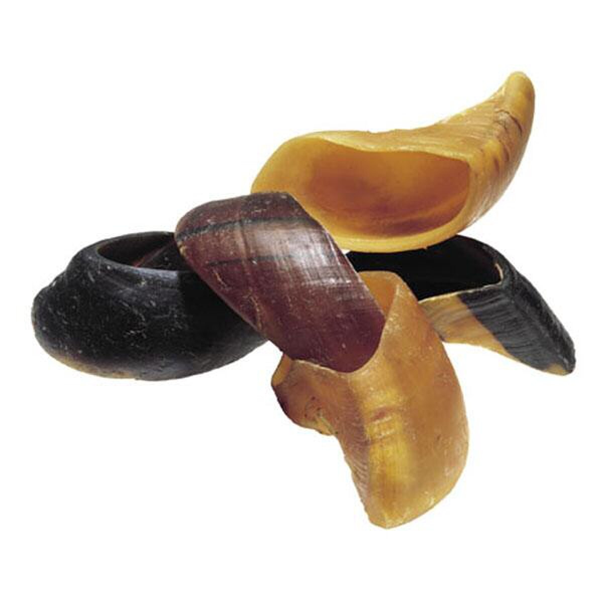 Cow Hooves