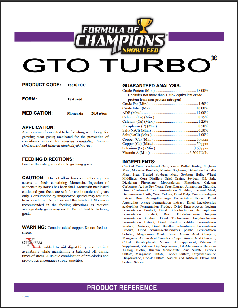 Big League GTO Turbo
