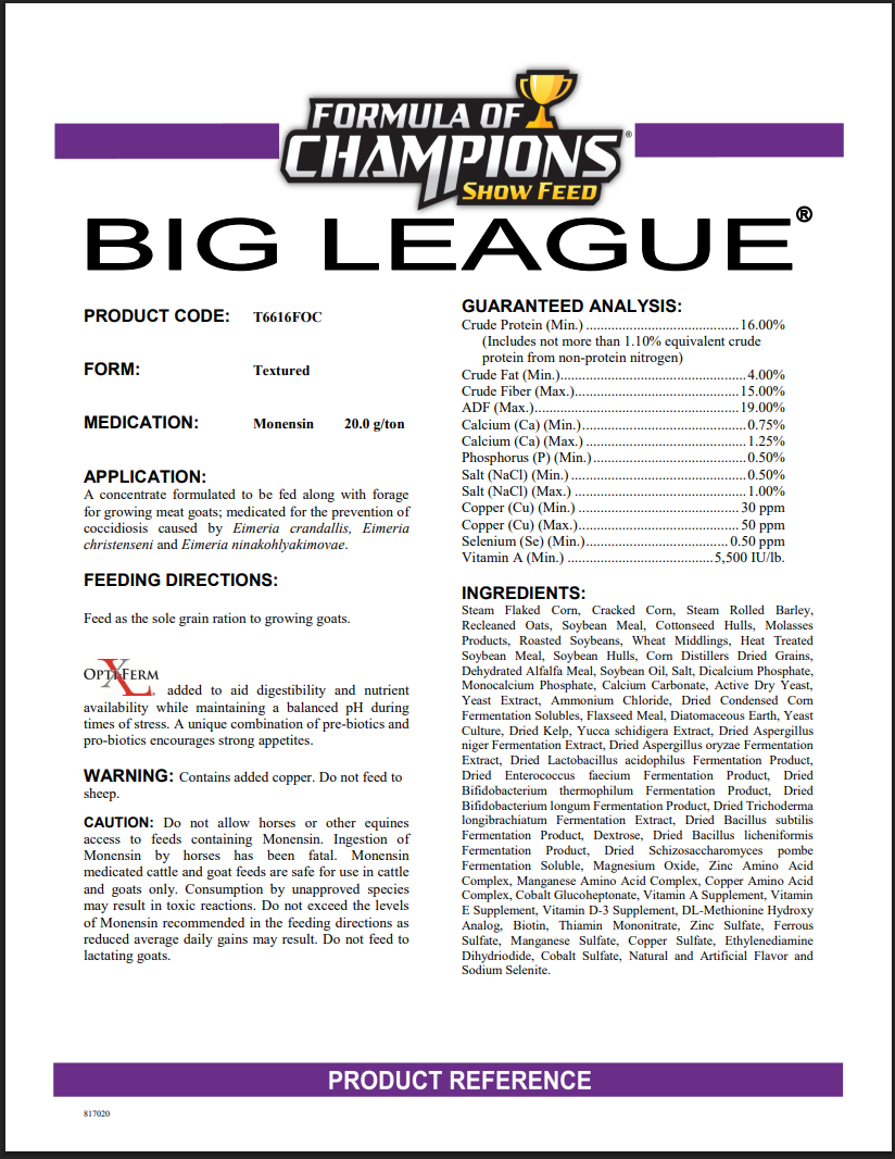 Big League Game Plan