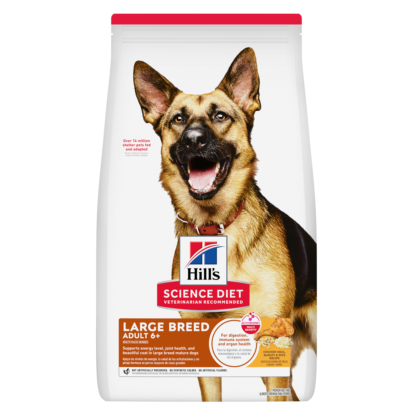 6+ Large Breed