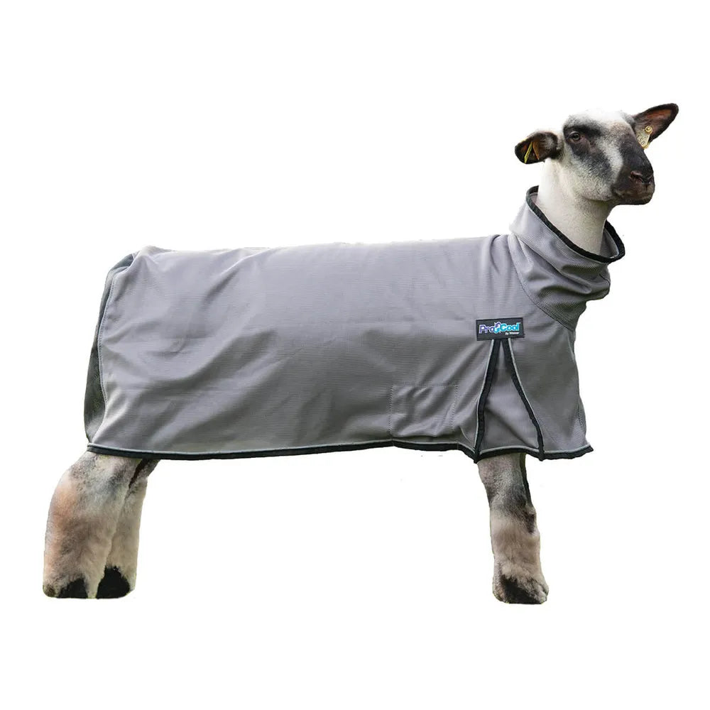 ProCool Mesh Sheep Blanket