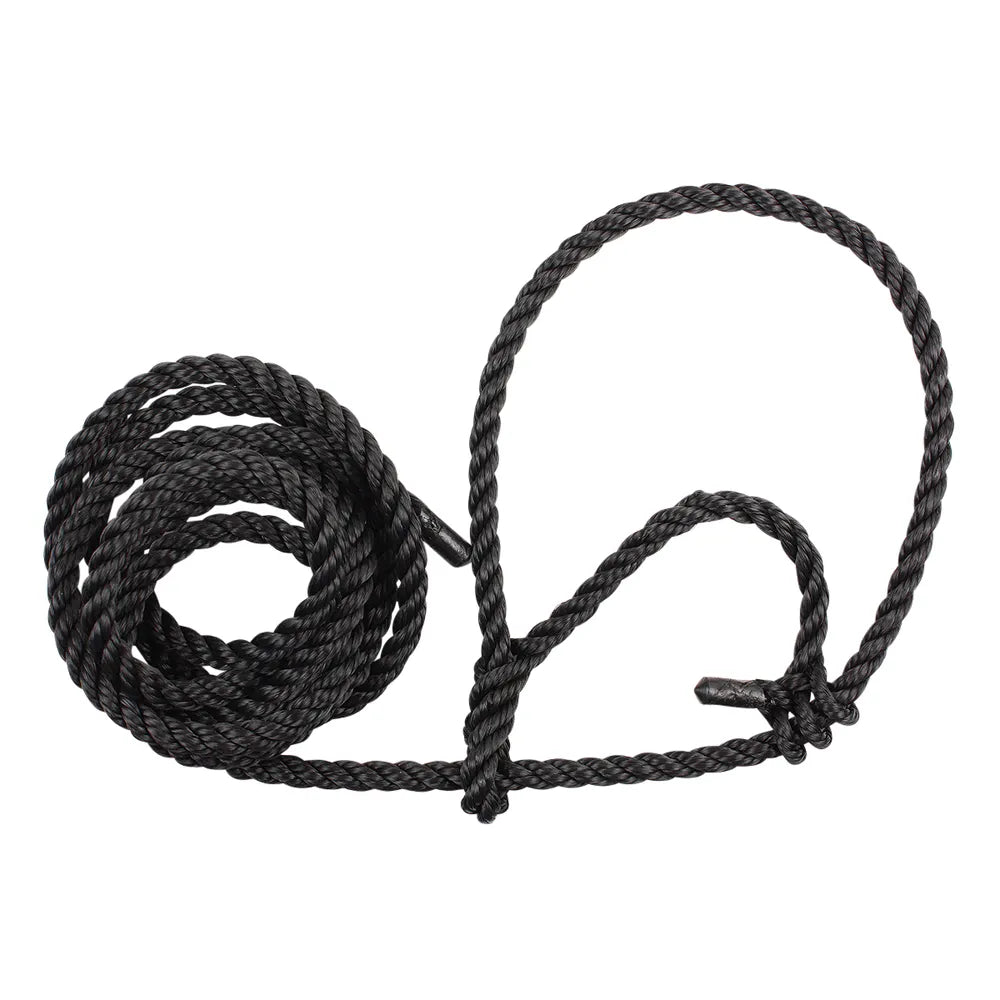 Sullivan Poly Cow Halter