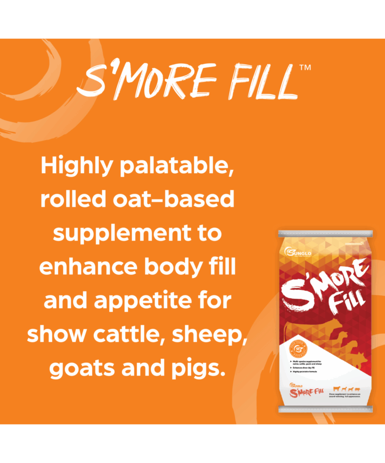 S'more Fill