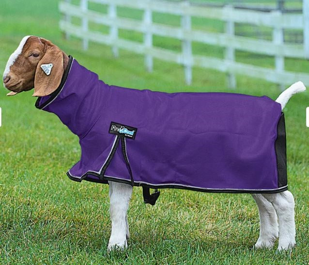 Weaver ProCool Goat Blanket