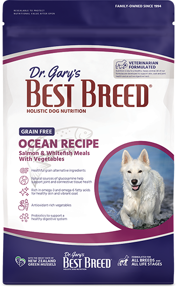 Grain Free Ocean Recipe