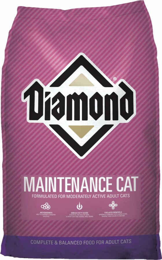 Cat Maintenance