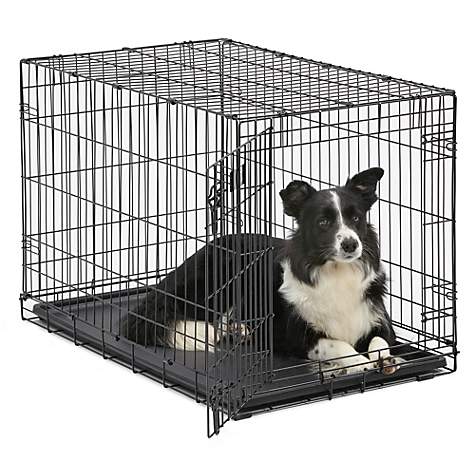 Single Door Dog Crate