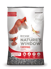 Window Cardinals Choice