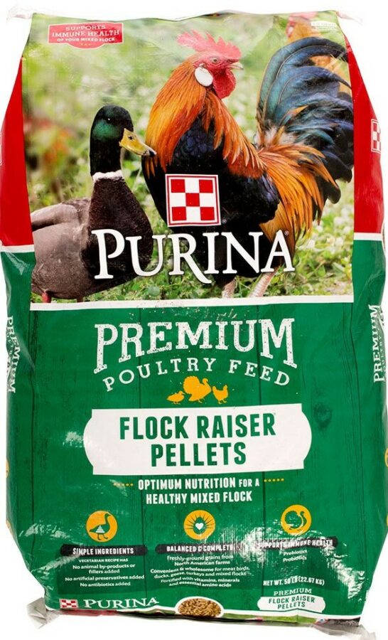 Flock Raiser Pellets - 50 lb