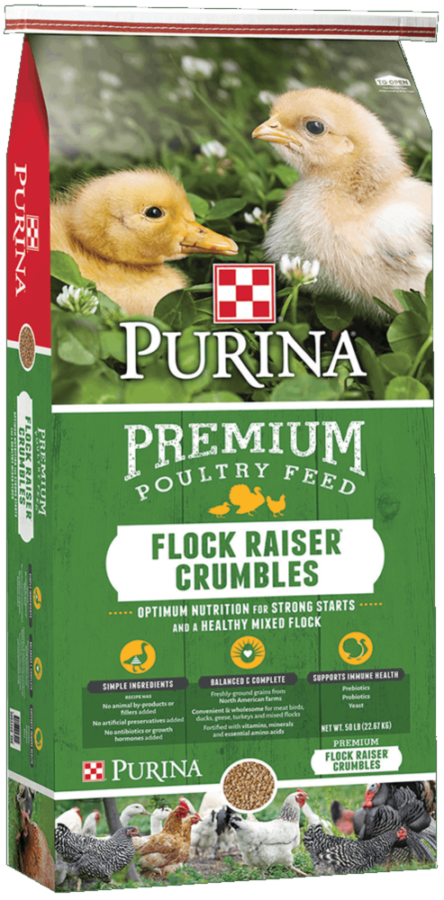 Flock Raiser Crumbles - 50 lb