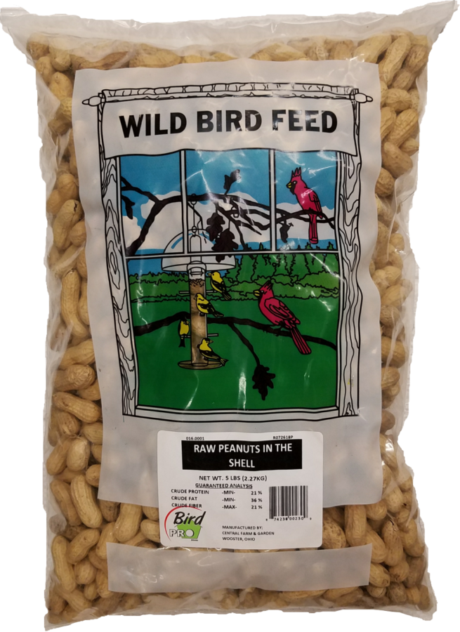 Bird Raw Peanuts