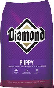 Puppy 31/20