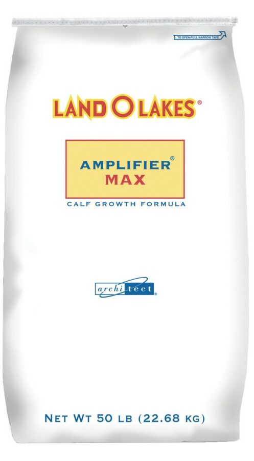 Amplifier Max - 50 lb