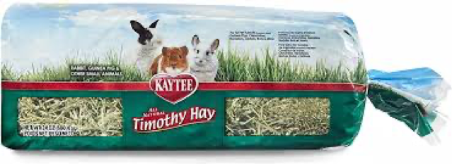 Timothy Hay