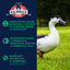 16% Flock Maintainer Mini Pellets