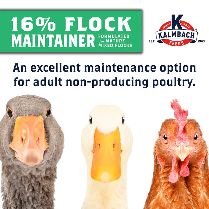16% Flock Maintainer Mini Pellets