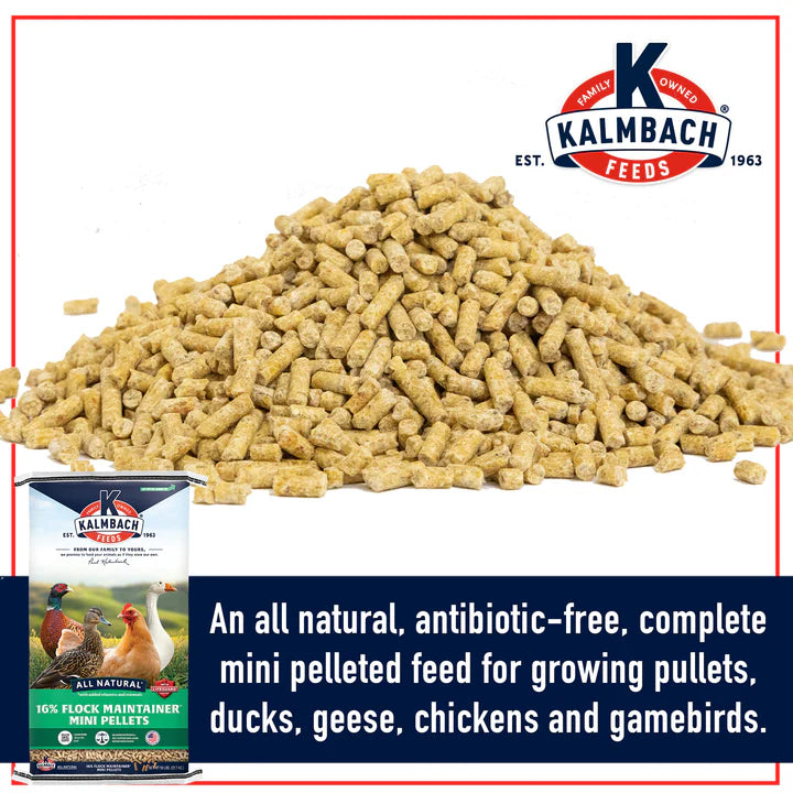 16% Flock Maintainer Mini Pellets