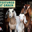 16% Textured Goat Grain
