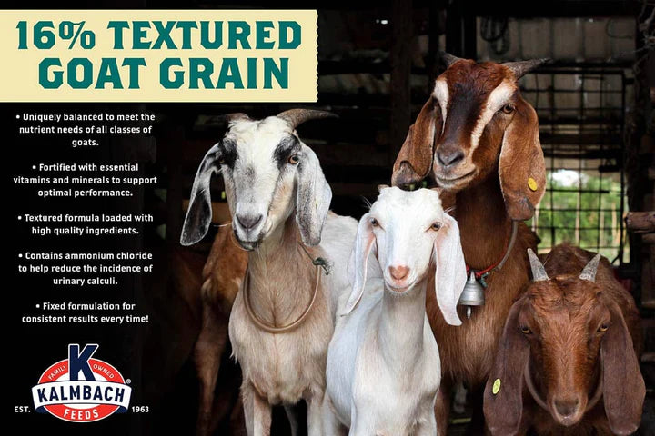 16% Textured Goat Grain