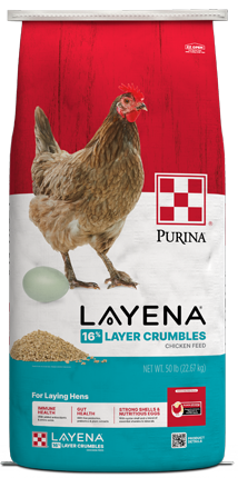 Layena Crumble