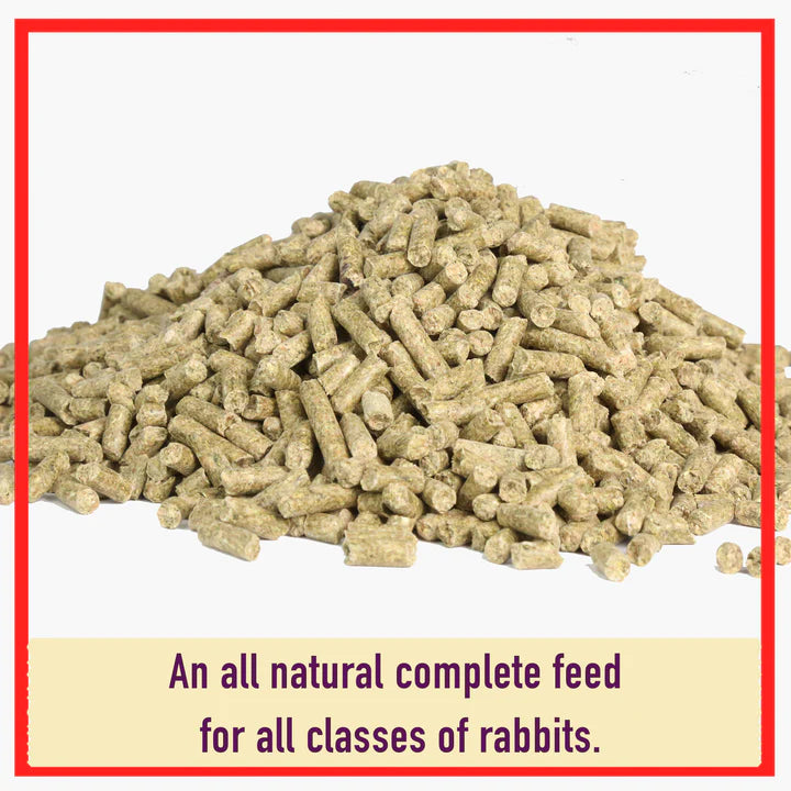 15% Rabbit Maintenance