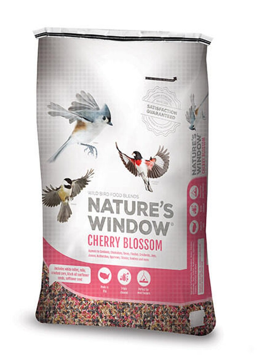 Cherry Blossom