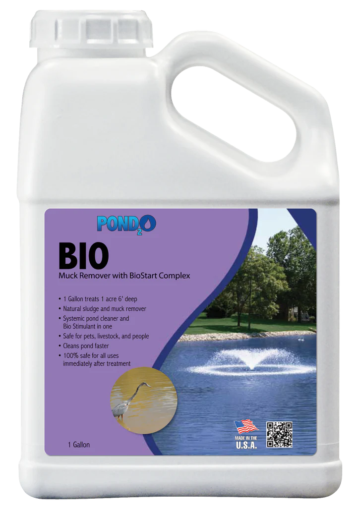 Bio