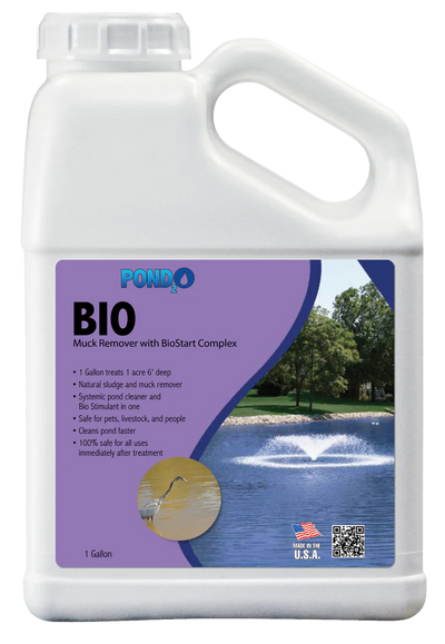Bio