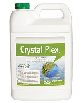 Algae Control - 1 gal