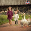 All Natural Duck & Goose