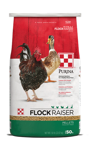 Flock Raiser Pellet