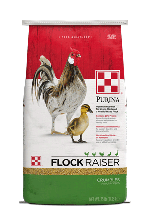 Flock Raiser Crumbles