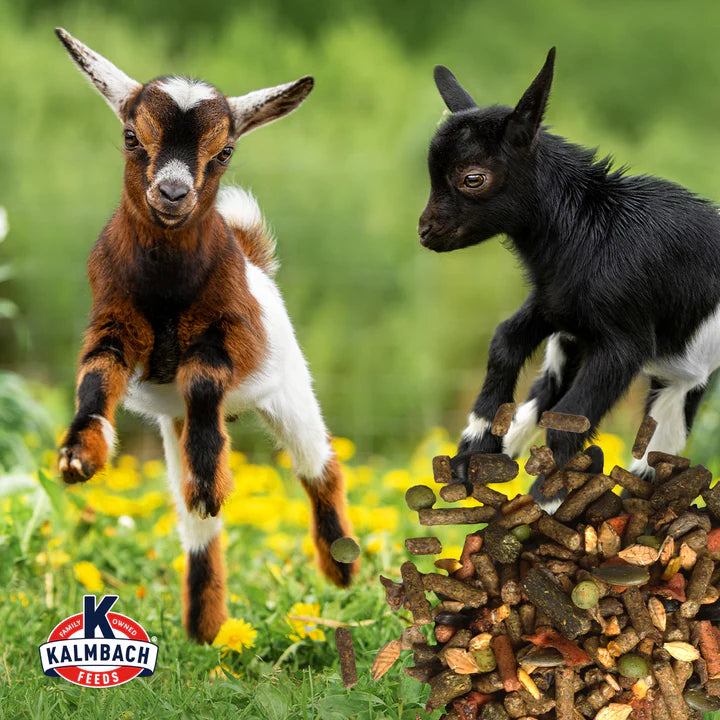 Goat Granola
