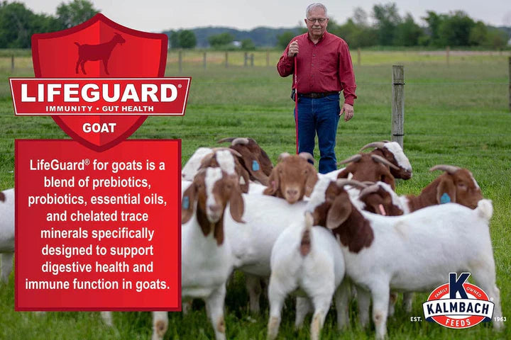 16% Textured Goat Grain