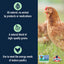 Non-GMO Soy Free Scratch Grain