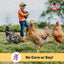Organic Hen House Reserve