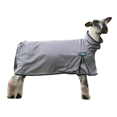 ProCool Mesh Sheep Blanket