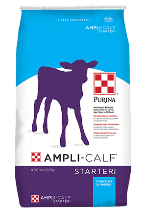 Ampli-Calf Starter 22 R50