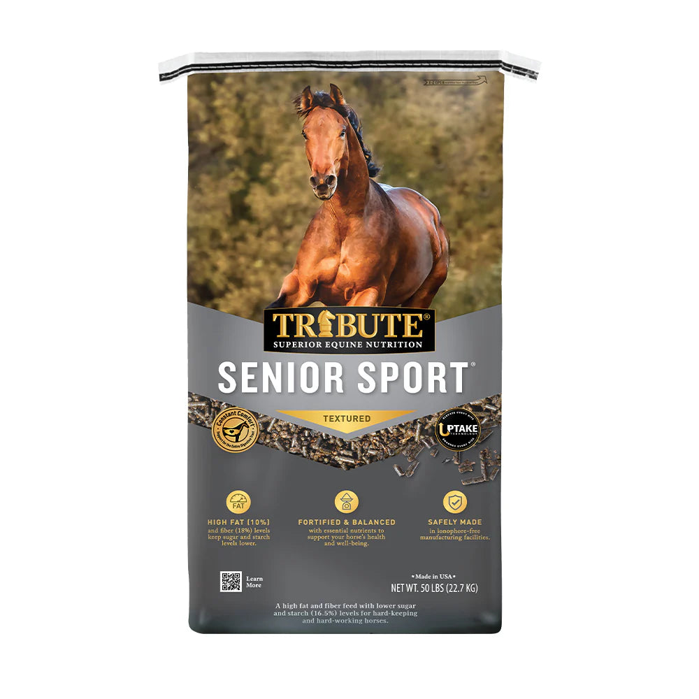 Senior Sport
