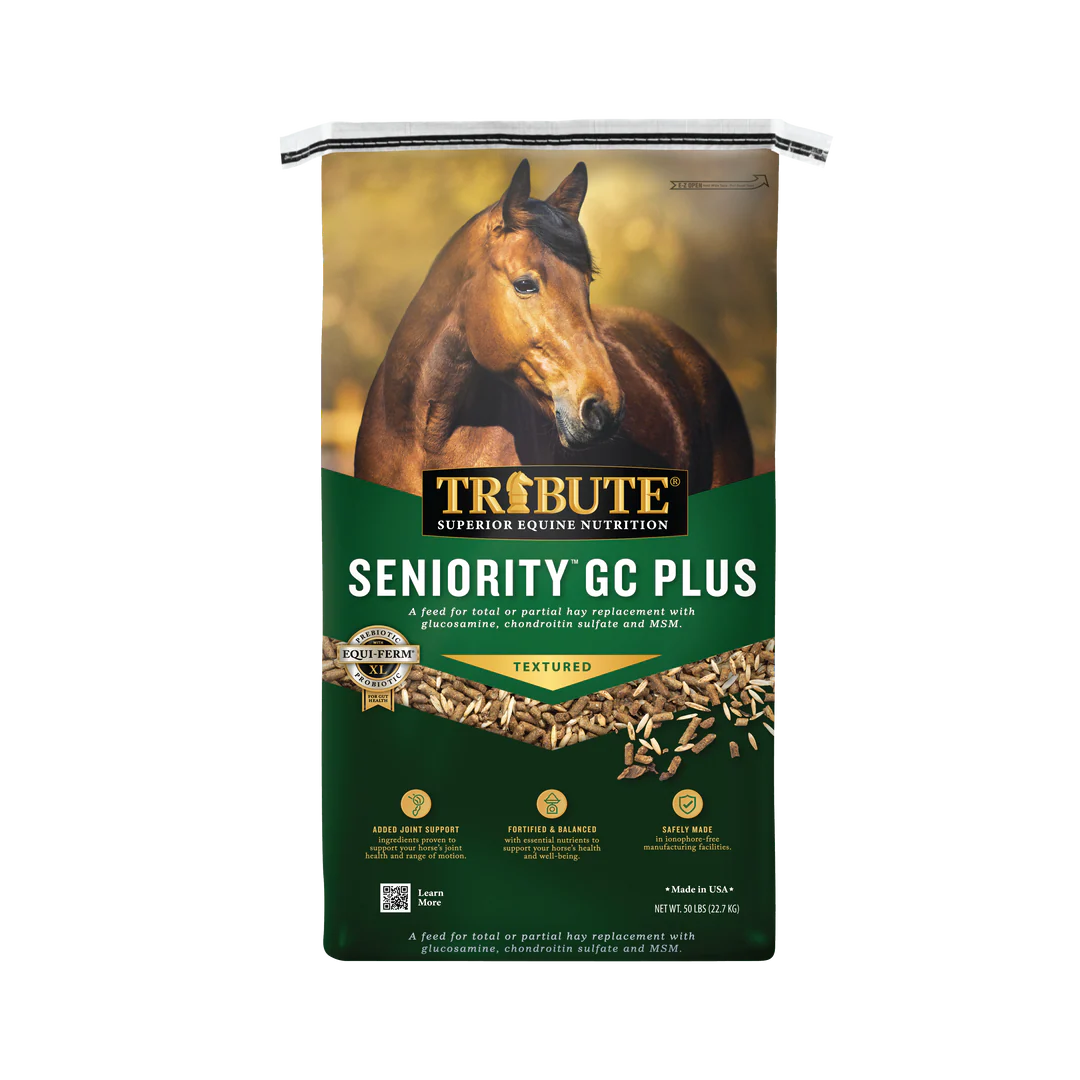 Seniority GC Plus Textured