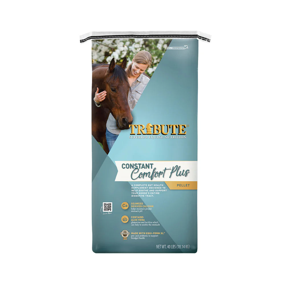 Constant Comfort Plus