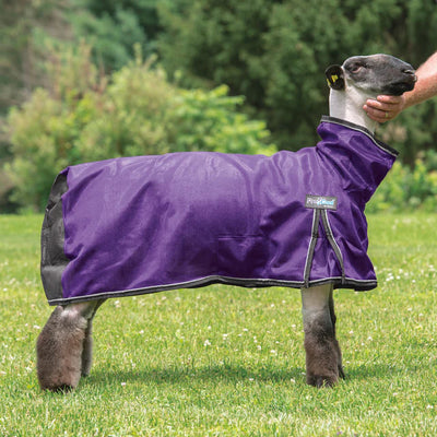 Weaver ProCool Sheep Blanket - Small
