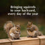 Sweet Corn Squirrel