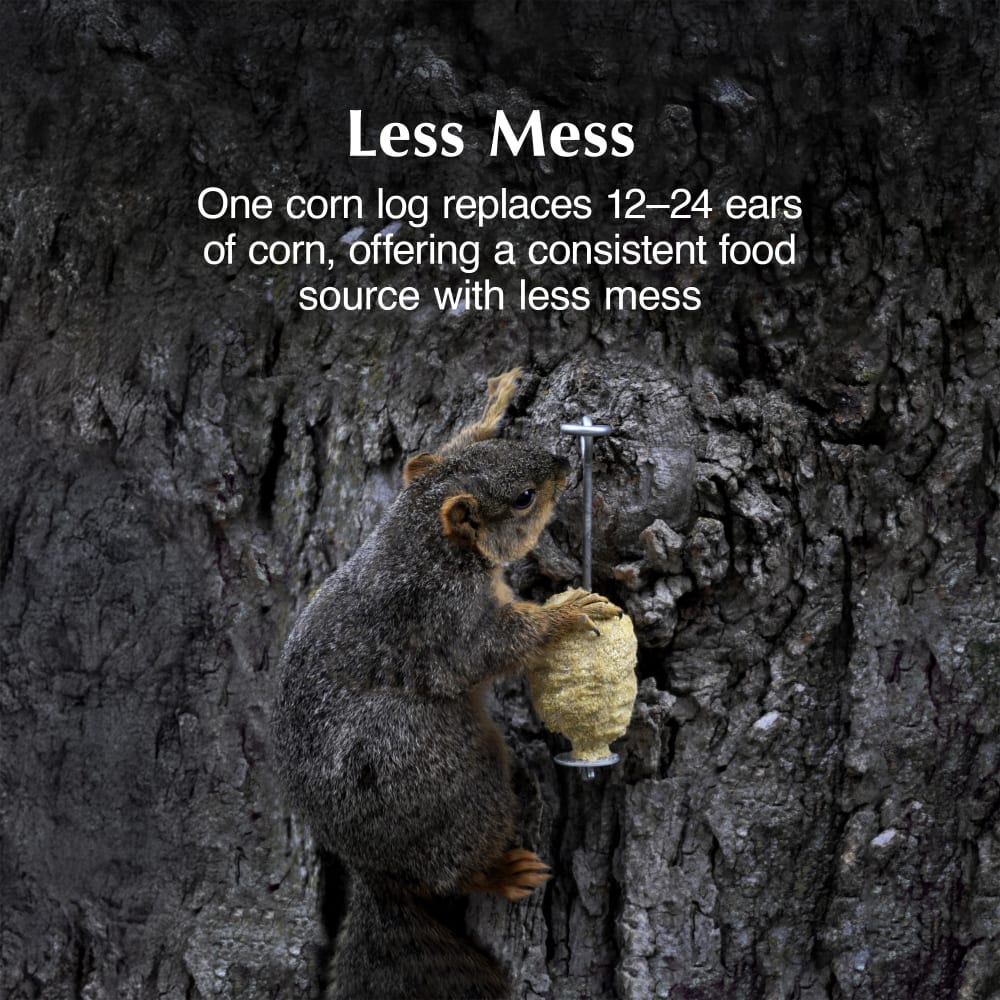 Sweet Corn Squirrel