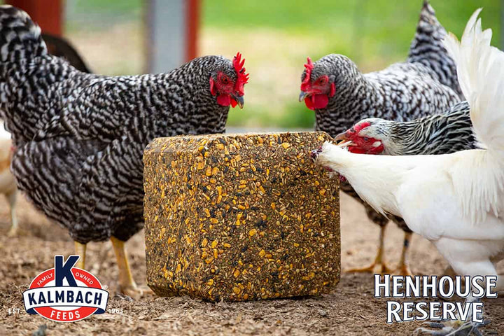 Hen House Reserve Block