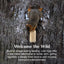Sweet Corn Squirrel